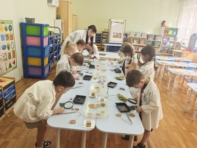 Познавательное занятие "Осенние краски"